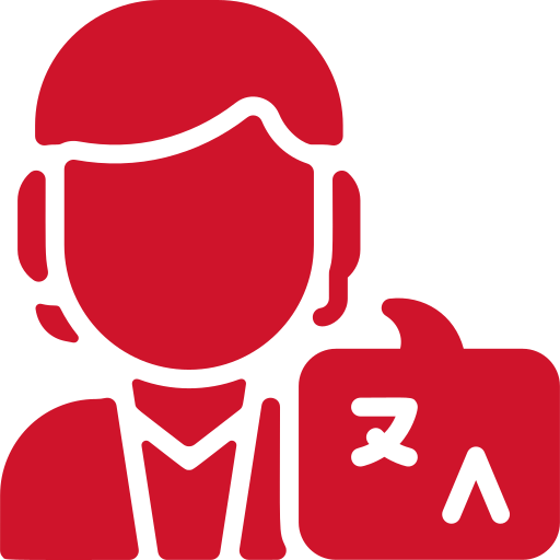 Professional English translation